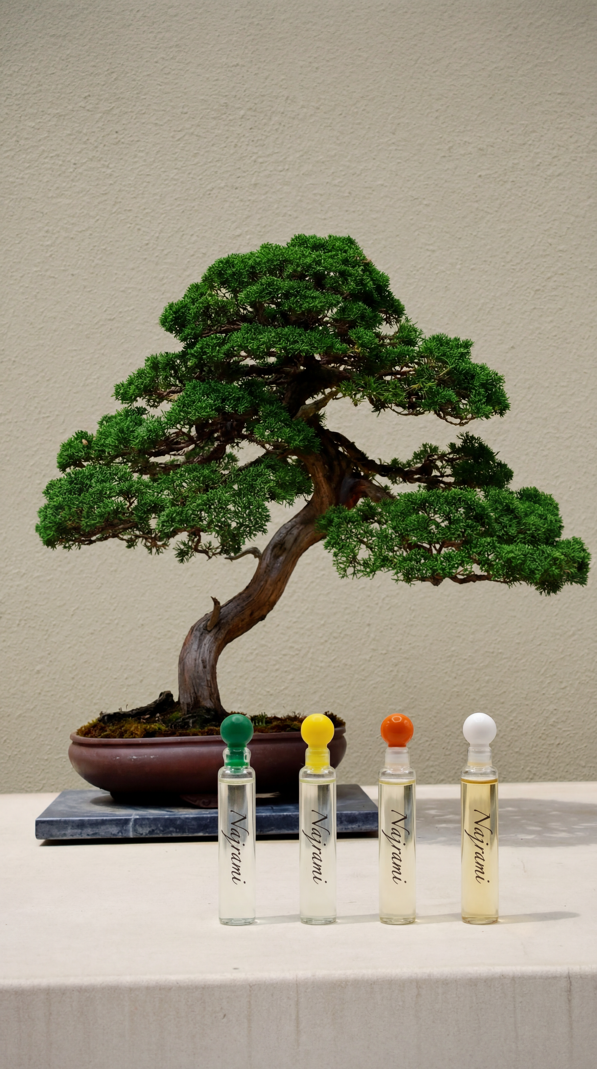 The Four Seasons Anniversary Sample-Set